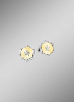 Ohrstecker in Bicolor mit 2 Brillanten und 60 Diamanten