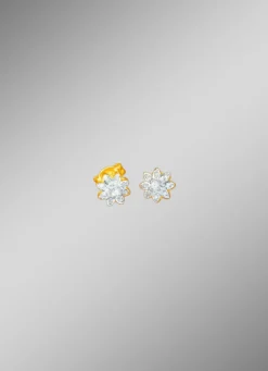 Ohrstecker mit Brillanten und Diamanten