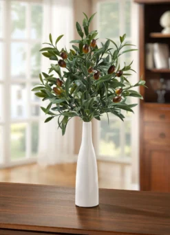 Olivenzweige in Vase