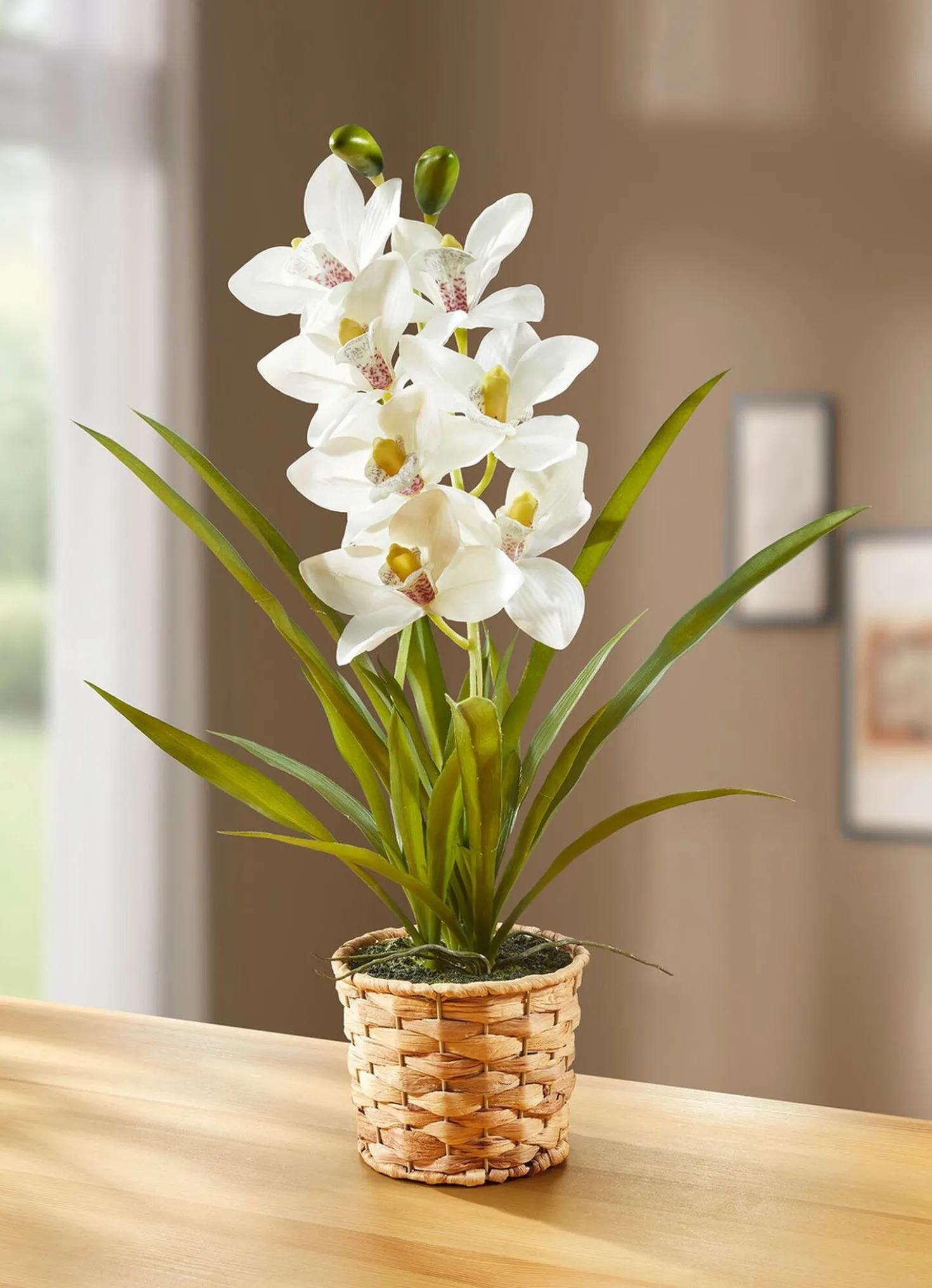 Orchidee im Korb aus Wasserhyazinthe