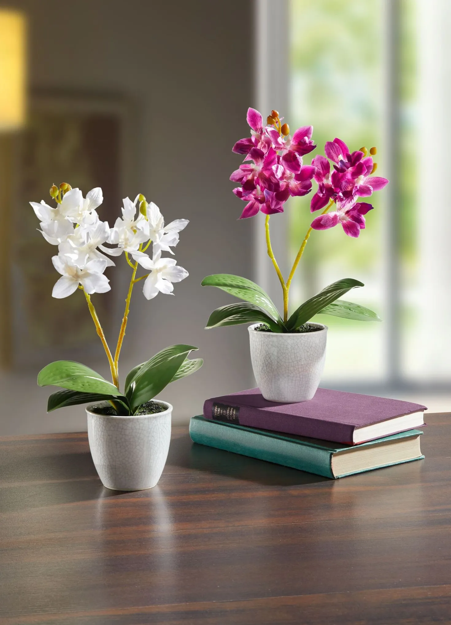 Orchidee im Topf