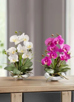 Orchidee in Keramikschale