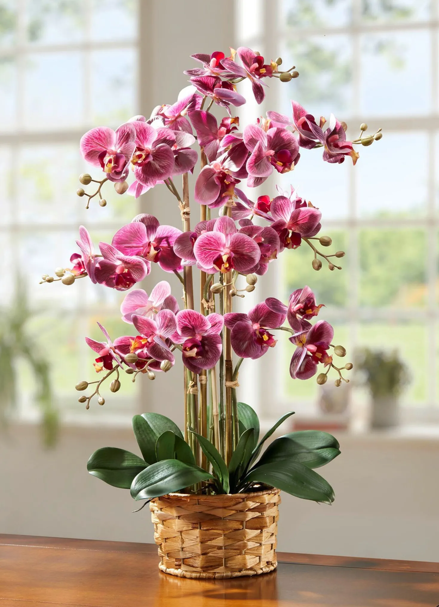 Orchidee in Korb aus Wasserhyazinthe