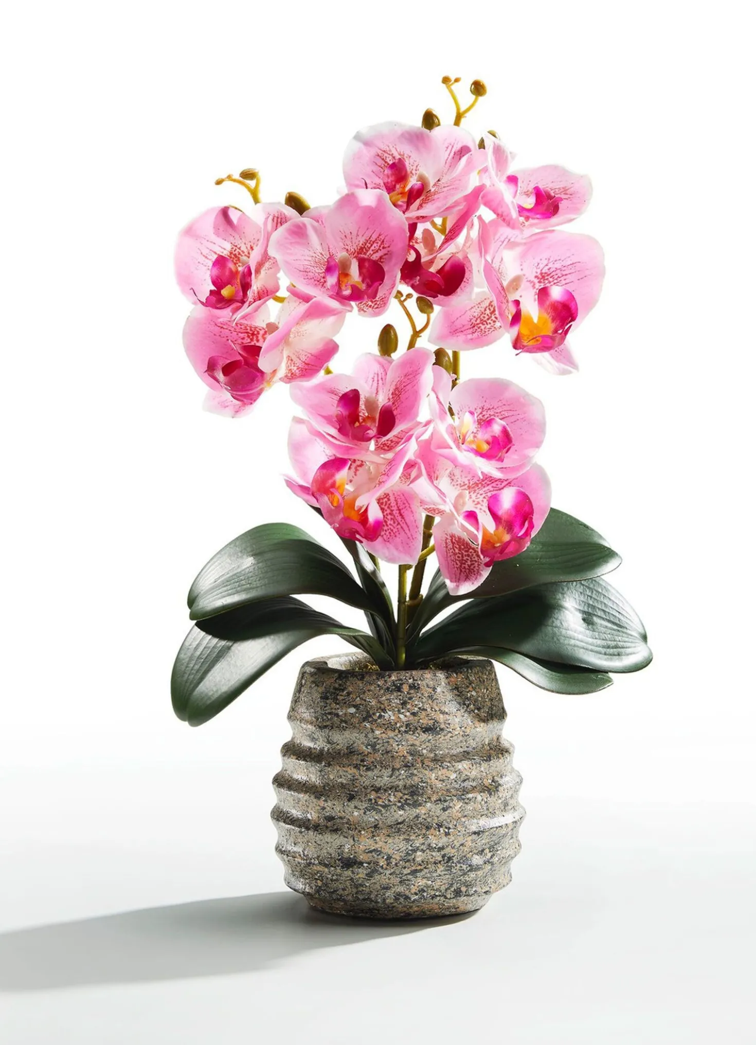 Orchideen-Gesteck im Topf