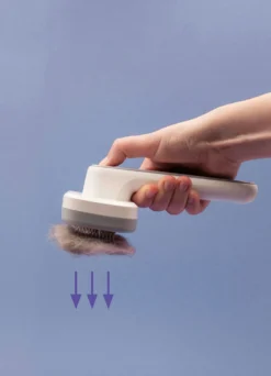 „PiddiPet IonBrush