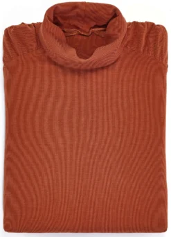 Rollkragenshirt mit langen Ärmeln