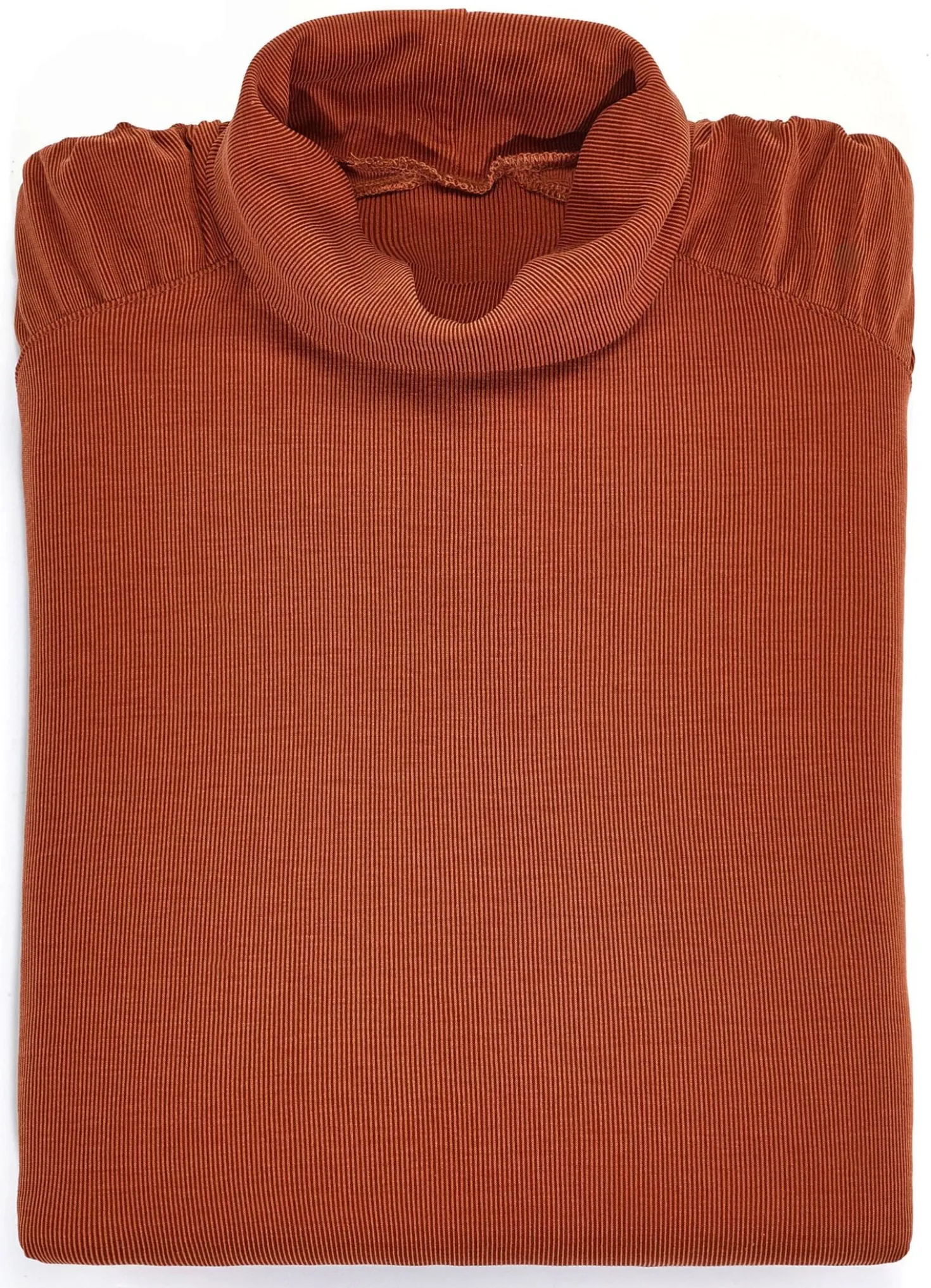 Rollkragenshirt mit langen Ärmeln