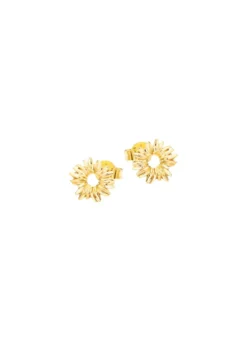Schicke Ohrstecker im Blumen-Design