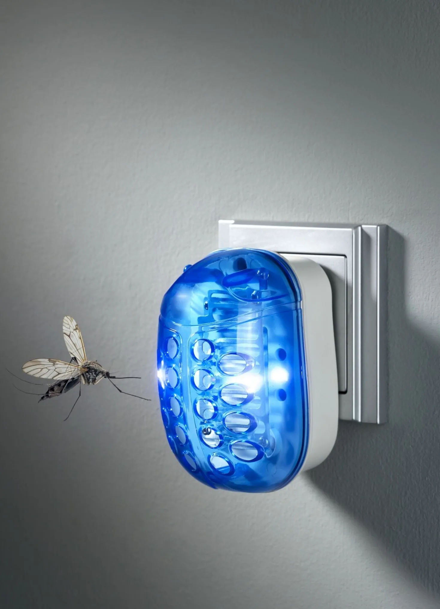 „Sonnenkönig" Insektenvernichter Pic Mini