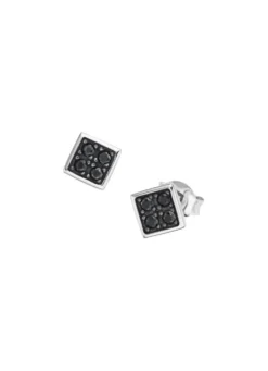 Stilvolle Ohrstecker in edlem Silber