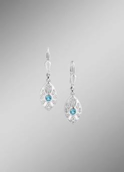 Strahlende Akzente – Exquisite Ohrringe aus Silber