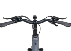 Trekking-E-Bike X-Road 5.2 von SAXONETTE
