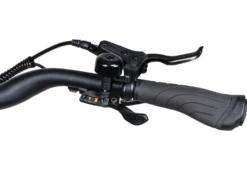 Trekking-E-Bike X-Road 5.2 von SAXONETTE