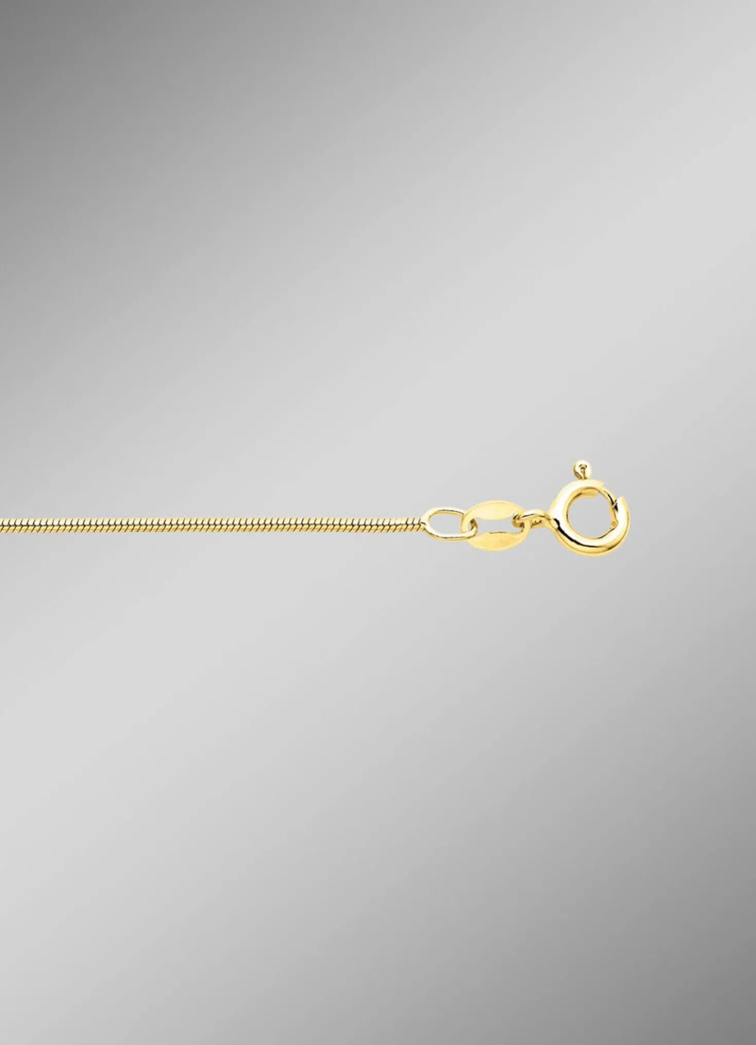 Vergoldete Schlangenkette aus Silber