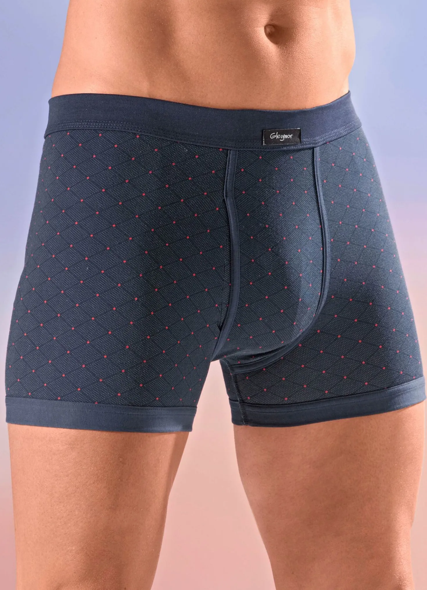 Viererpack Unterhosen mit Alloverdessin