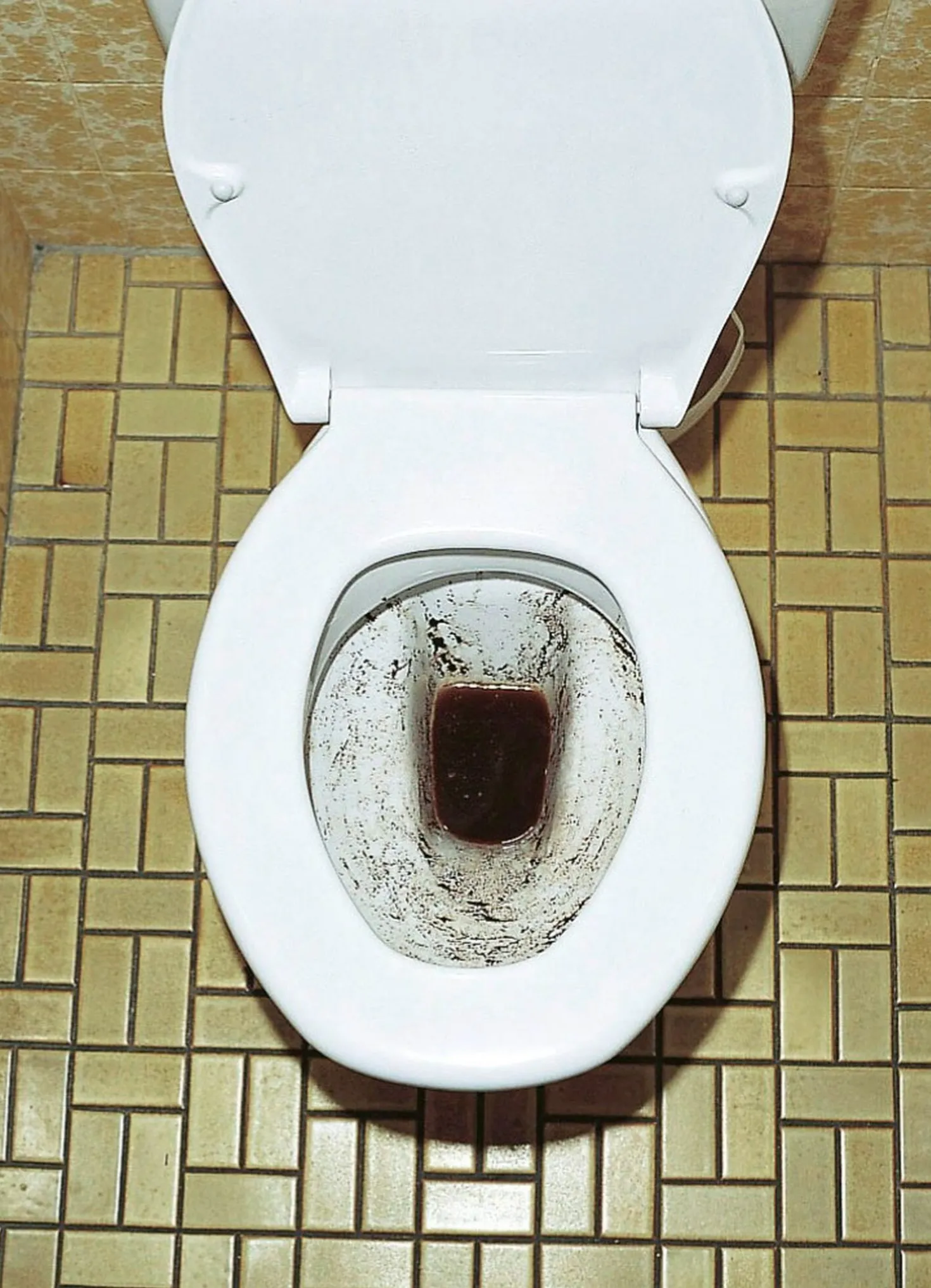 WC-Reinigungs-Tabs