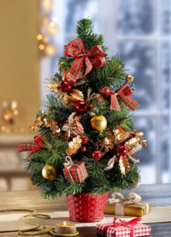 Weihnachtsbaum im Topf