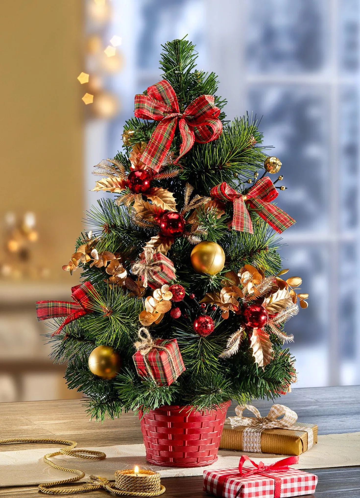 Weihnachtsbaum im Topf