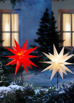 Weihnachtsstern mit Erdspieß