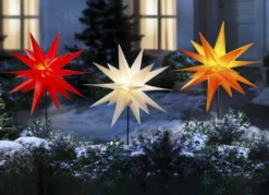 Weihnachtsstern mit Erdspieß
