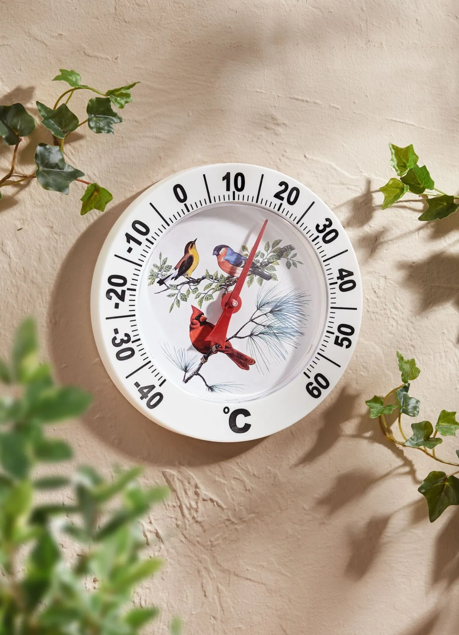 Wetterfester XL-Thermometer