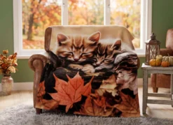 Wohndecke Katze