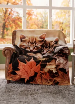 Wohndecke Katze