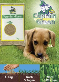 Wunder-Rasensamen